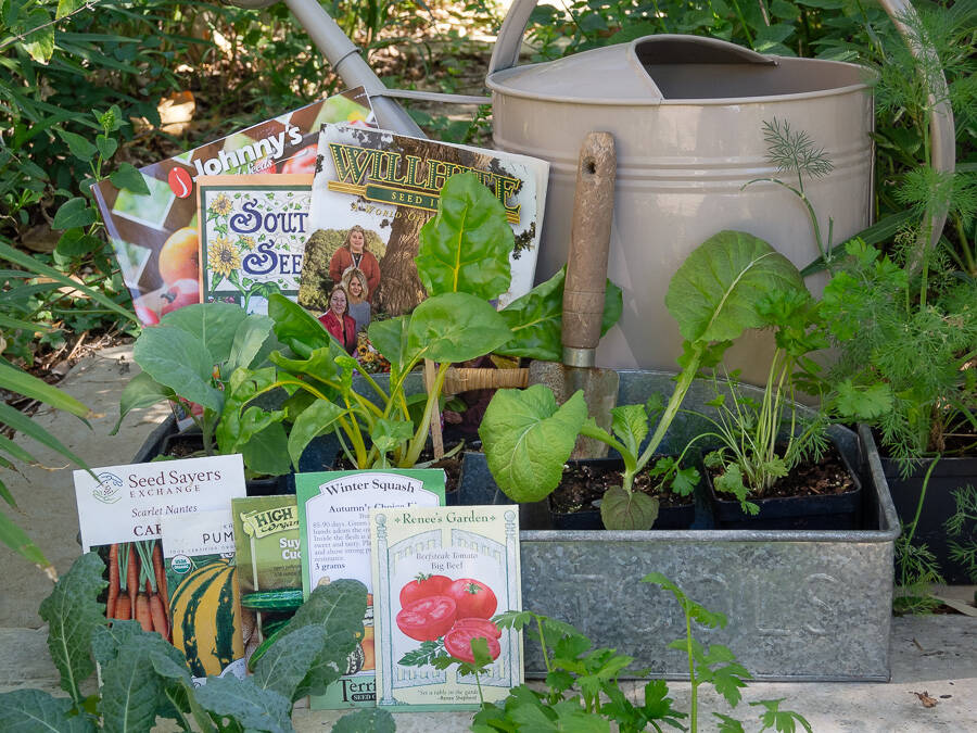 Image courtesy of Travis County Extension-Texas A&M
Early March is a great time to prep your vegetable garden for the coming spring growing season.