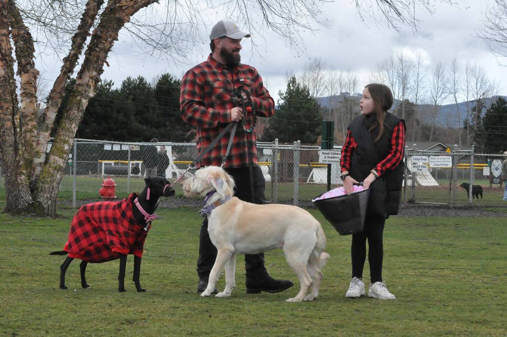 Sequim Gazette photo by Matthew Nash/