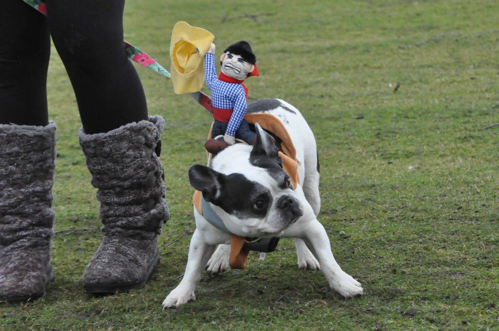 Sequim Gazette photo by Matthew Nash/