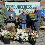 Clallam Countys freshest Certified Professional Horticulturists: Jett Gagnon, Jayde Carmean and Stew Cockburn, from New Dungeness Nursery.
