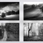 Photos by Phil Tauran
View photography by Phil Tauran at Sequim Museum & Arts this April.