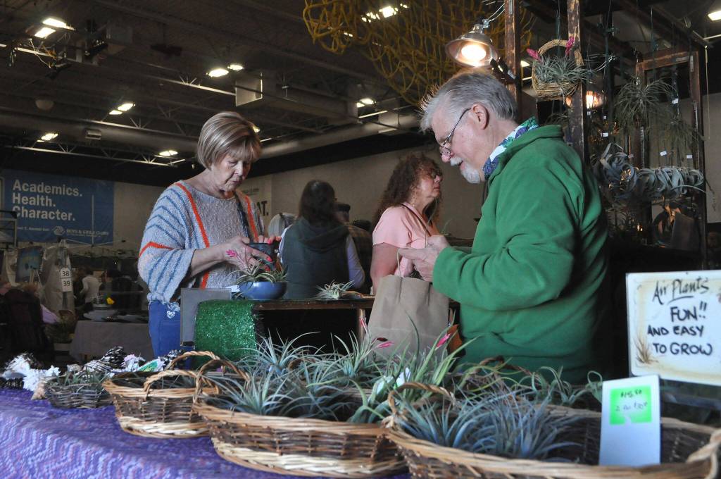 Sequim Gazette photo by Matthew Nash/ Sharon OReilly of Sequim purchases some air plants from Rick Owens Owens Garden Air Plants from Monroe at the Soroptimist Gala Garden Show. OReilly said she likes air plants because, for me, they live.