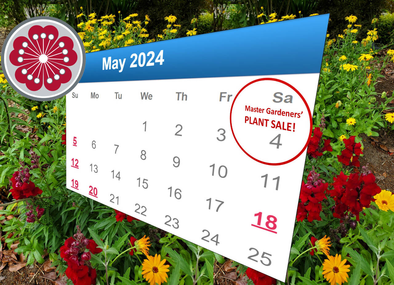 Artwork courtesy of Clallam County Master Gardeners