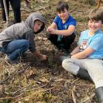 Sequim Gazette photo by Matthew Nash/ Cyrus Farrington, Zayden Bryant and Dean Tangedahl plant a red cedar tree on March 29 for a third grade field trip.