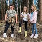 Sequim Gazette photo by Matthew Nash/ Third graders Chloe Corral, Olivia Wright, and Tirzah McBride take a moment to smile before planting another red cedar tree.