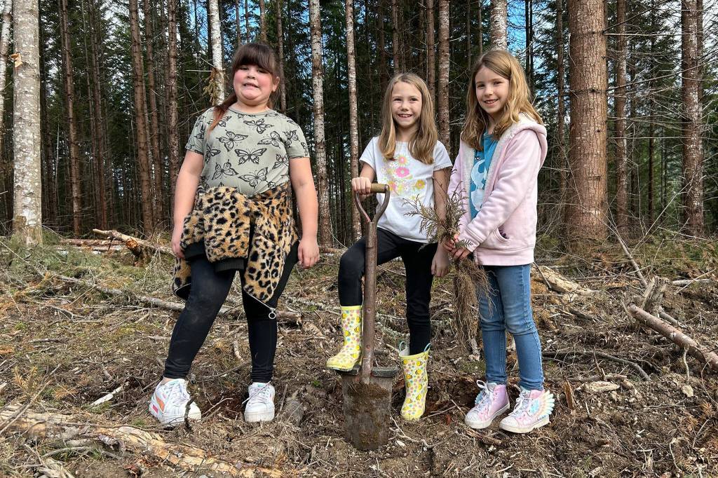 Sequim Gazette photo by Matthew Nash/ Third graders Chloe Corral, Olivia Wright, and Tirzah McBride take a moment to smile before planting another red cedar tree.