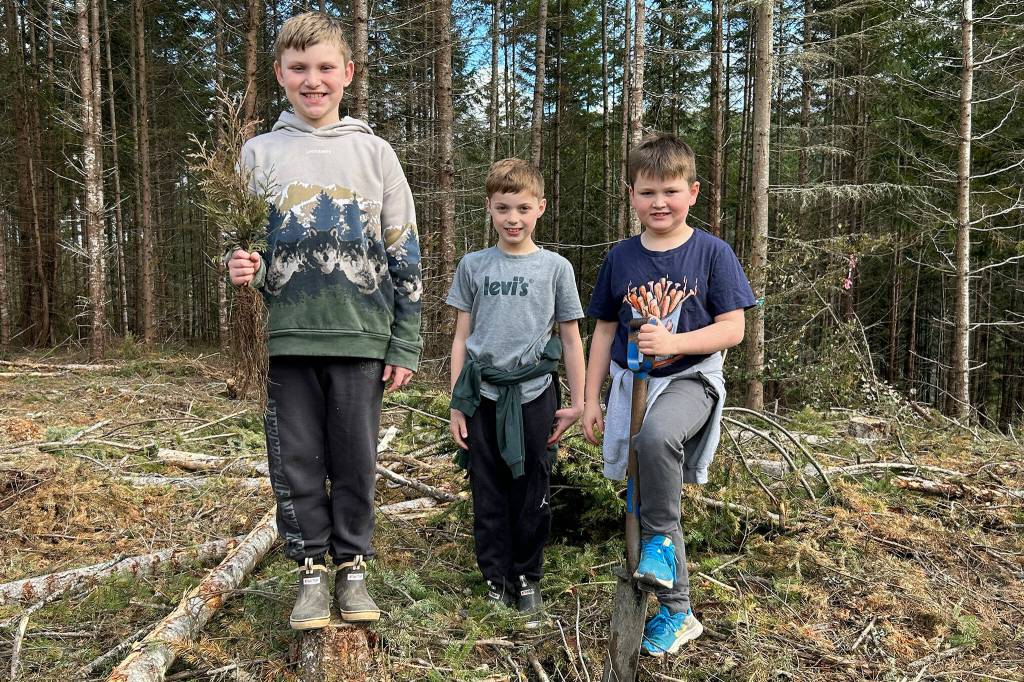 Sequim Gazette photo by Matthew Nash/ Tucker Stephens, Lane Eastburn, and Bennett Castell find a good spot to plant a red cedar tree on March 29.