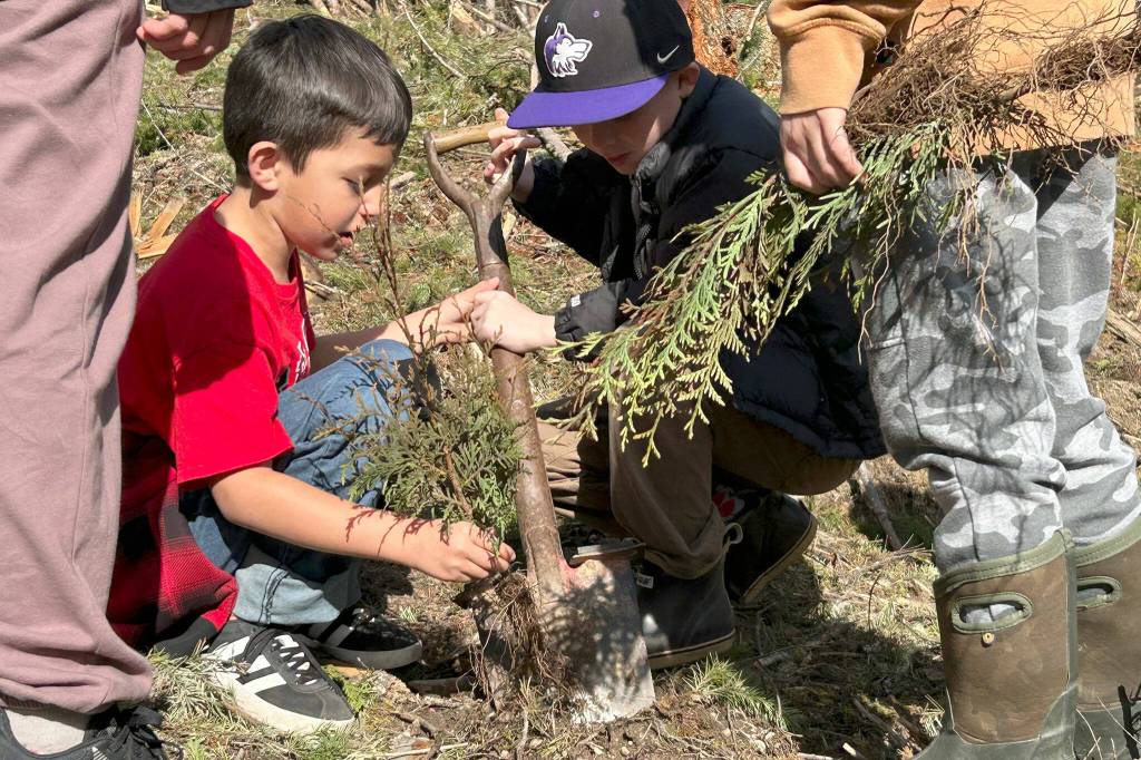 Luke Carroll and Camden Decker work together to plant a red cedar tree on March 29.