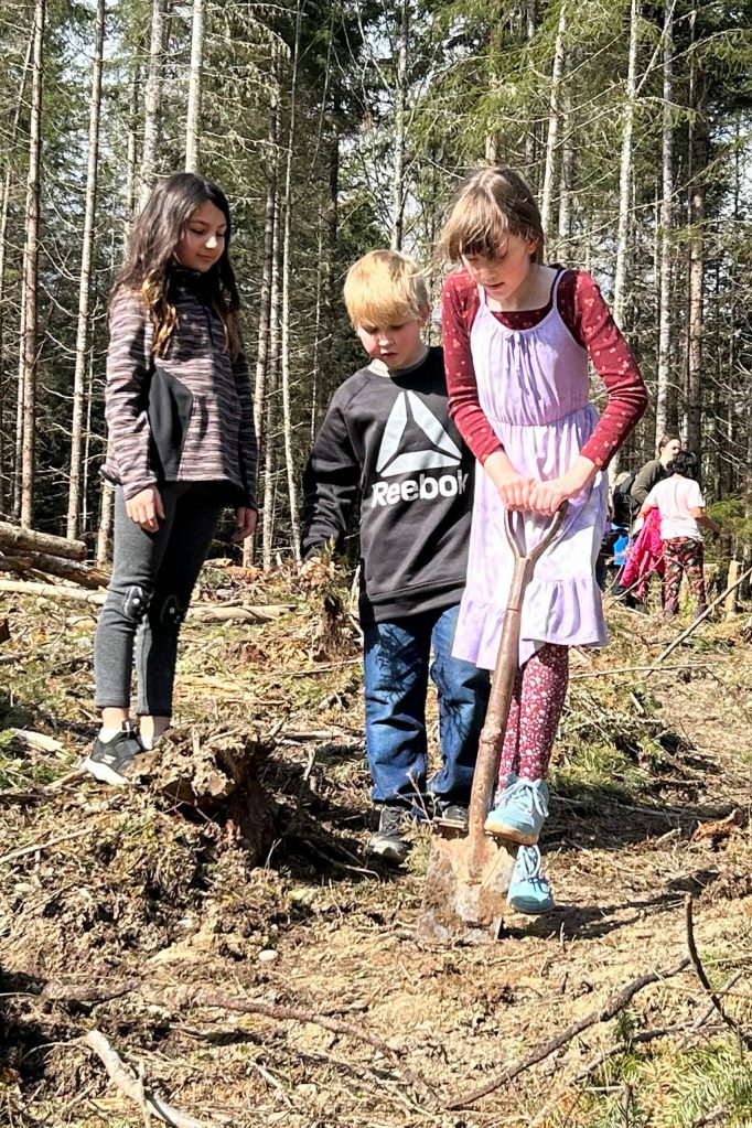 Sequim Gazette photo by Matthew Nash/ Emilee Sparrow digs as Sophia Sims and Maxton Imman look to help her plant a red cedar tree.