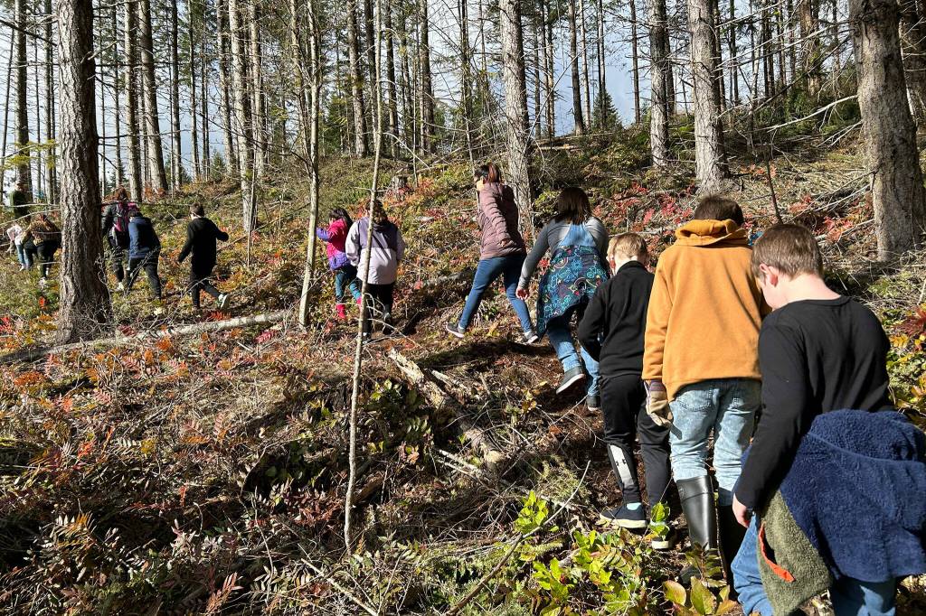 Sequim Gazette photo by Matthew Nash/ Third graders begin a hike up the hill to plant trees atop Fish Hatchery Road on March 29.