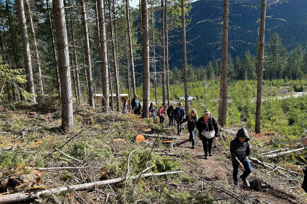 Sequim Gazette photo by Matthew Nash/ Third graders begin a hike up the hill to plant trees atop Fish Hatchery Road on March 29.