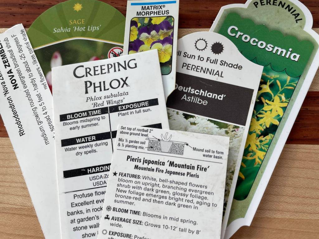 Photo by Lorretta Ferguson
Pay attention to tags at nurseries to get the plants perfect for your yard.