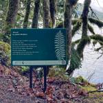 Photo courtesy of North Olympic Library System / Shored is one of two poems by Jaiden Dokken featured in Poetry Walks along trails in Olympic National Park through May 31.