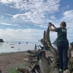 Photo courtesy of Rebecca McCaffery / Rebecca McCaffery installs a bat acoustic detector on the outer coast of Washington state. Acoustic detectors are specialized microphones that capture the high frequency calls of bat species at night. They can be used to study bat distribution and occupancy patterns.