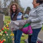 Photo by Emily Matthiessen / Jill Rochna, left, and Kimberly Salas work on the border of the COGS during Saturdays work-party. Rochna, who has been with the garden for around seven years, says that it brings joy to the community at large as well as to the gardeners. Its truly a community garden. When this place is in full swing, its beautiful. Salas says its her first year with a plot; she used to visit the garden on walks.