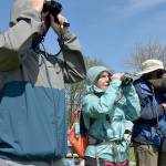 Olympic Birdfest participants, from left, Paul Foeller and Lucy Pauckert of Sequim and Marion Rutledge of the Dungeness River Nature Center look for waterfowl on Sequim Bay from John Wayne Marina during a birdwatching excursion on Saturday. (Keith Thorpe/Peninsula Daily News)