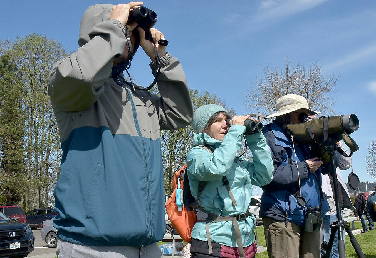 Photo by Keith Thorpe/Olympic Peninsula News Group
Olympic Birdfest participants, from left, Paul Foeller and Lucy Pauckert of Sequim and Marion Rutledge of the Dungeness River Nature Center look for waterfowl on Sequim Bay from John Wayne Marina during a birdwatching excursion on April 13.