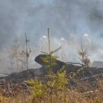 Sequim Gazette photo by Matthew Nash/ State Department of Natural Resources firefighters for the Olympic Region work to contain a slash pile fire that spread due to wind on April 15 south of Taylor Cutoff Road.