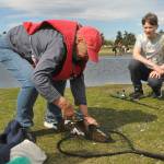 Sequim Gazette photo by Matthew Nash/