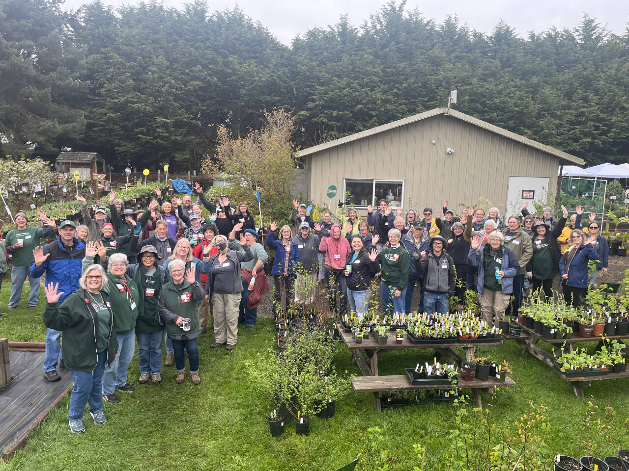 Photo by Keith Dekker
The crew at the the Master Gardener Foundation of Clallam County Spring Plant Sale is ready for another big event. This years sale is set for 9 a.m.-12:30 p.m. and 1-3 p.m. on Saturday, May 4, at the Woodcock Demonstration Garden, 2711 Woodcock Road. Choose from vegetable and herb starts, native saplings and shrubs, perennials, succulents, ornamental grasses, ground covers, houseplants, gardening gifts, gently-used garden supplies and more. Proceeds help fund education programs and demonstration gardens.
