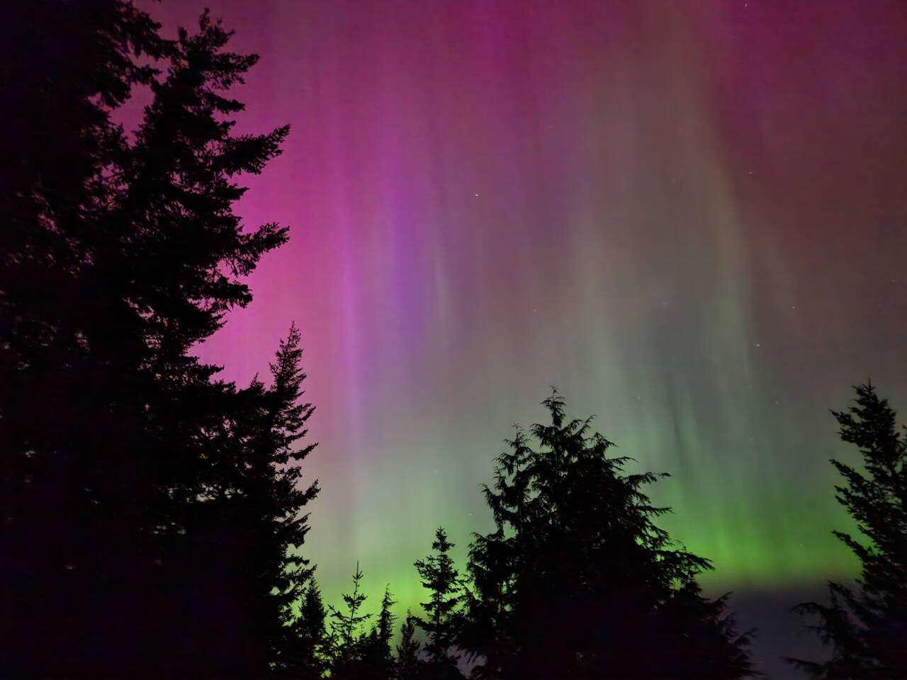 Sequim resident David Updike caught this image of this past weekends solar storm-induced auroras over Sequim, viewed from Mount Zion.