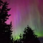 Sequim resident David Updike caught this image of this past weekends solar storm-induced auroras over Sequim, viewed from Mount Zion.