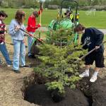 Sequim Gazette photo by Matthew Nash/ For Arbor Day, Sequim High School Agriculture students, from left, Eli Lyke, Zoey Cramer, Trevor Goff, and Chris Young shovel dirt from Sequim parks worker Bill Poindexters tractor near the Water Reuse Pond.