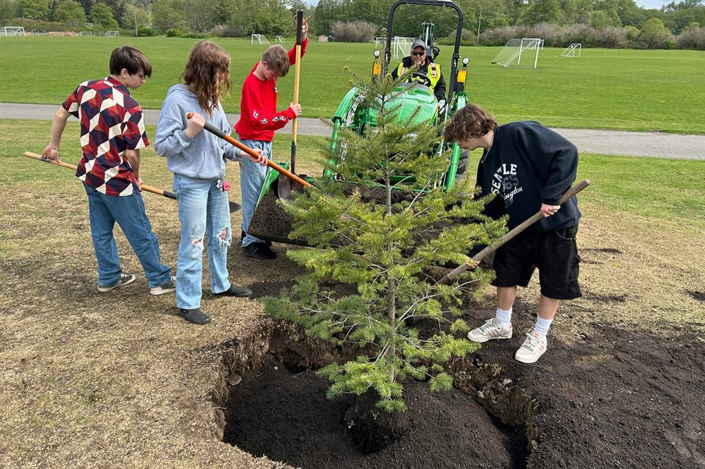 Sequim Gazette photo by Matthew Nash/ For Arbor Day, Sequim High School Agriculture students, from left, Eli Lyke, Zoey Cramer, Trevor Goff, and Chris Young shovel dirt from Sequim parks worker Bill Poindexters tractor near the Water Reuse Pond.