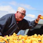 Gary Reidel, representing Wilder Toyota, plucks the winning duck from a truck. Wilder sponsored the winners prize of a 2024 Toyota Corolla. And the winner is Sarah Aten of Port Angeles. Her response was, “That’s amazing, that’s amazing.” There was 28,764 ducks sold this year as of race day. The all-time high was back in 2008 when over 36,000 were sold. (Dave Logan/For Peninsula Daily News)