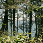 Sequim Gazette photo by Elijah Sussman / A view from the trail on May 8.