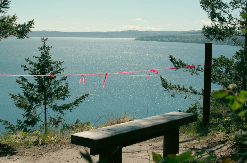 Sequim Gazette photo by Elijah Sussman / A viewpoint off of Discovery Bay Trail in Miller Peninsula State Park on May 8.