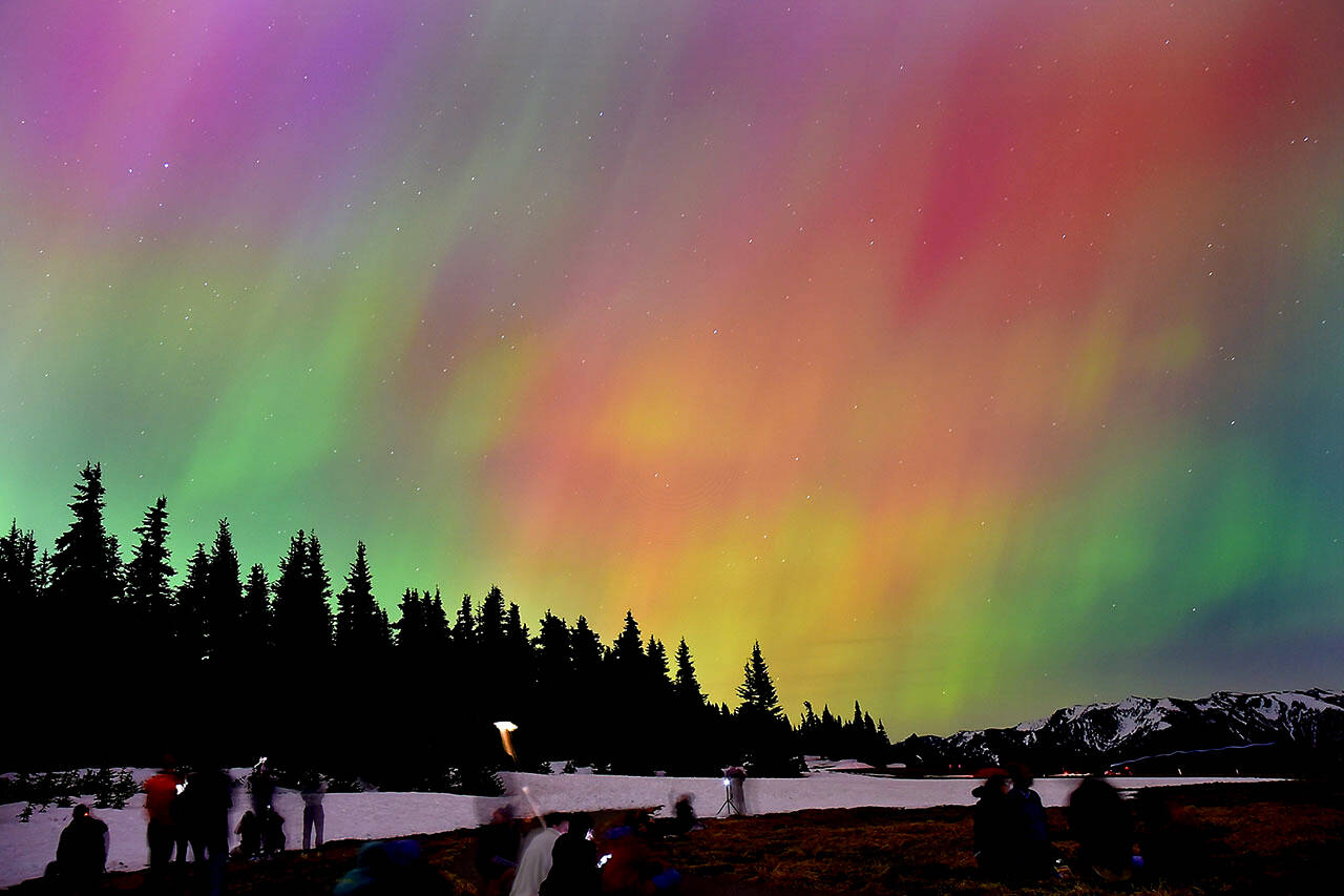 Photo by Keith Thorpe/Olympic Peninsula News Group
The aurora borealis, also known as the Northern Lights, illuminate the sky on Friday night into Saturday morning (May 10-11) at Hurricane Ridge in Olympic National Park south of Port Angeles. A G5 magnetic storm created conditions for the aurora to be visible to large portions of North America, including hundreds of people who ventured to the ridge to watch the geomagnetic spectacle. Space weather forecasters for the National Oceanic and Atmospheric Administration have left open the chance of additional auroras for the next several days based upon recent solar activity.