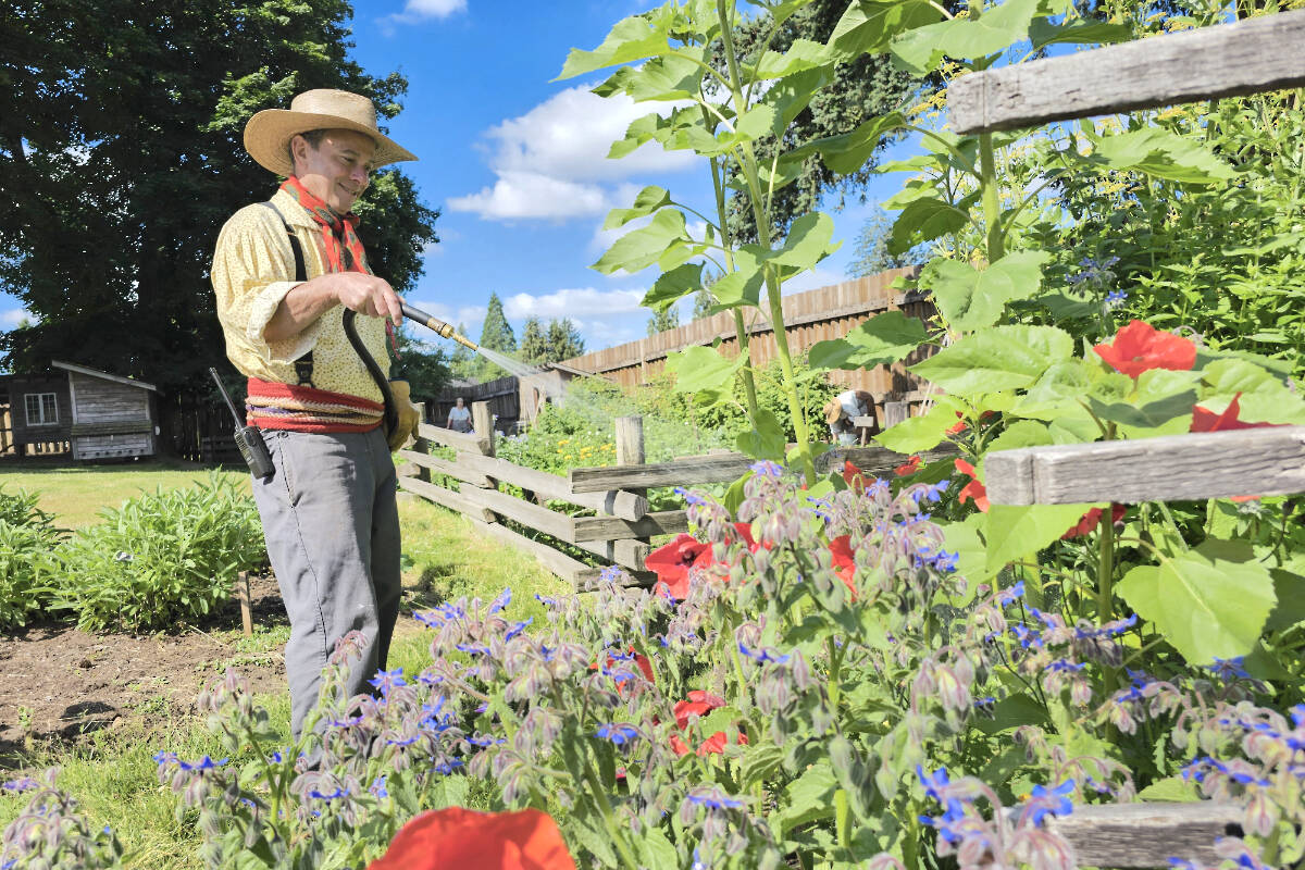 Photo by Dan Ferguson/Langley Advance Times
Keeping a healthy garden means knowing how much water your plants need, be it by hand or using a drip system.