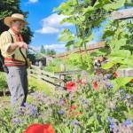 Photo by Dan Ferguson/Langley Advance Times
Keeping a healthy garden means knowing how much water your plants need, be it by hand or using a drip system.