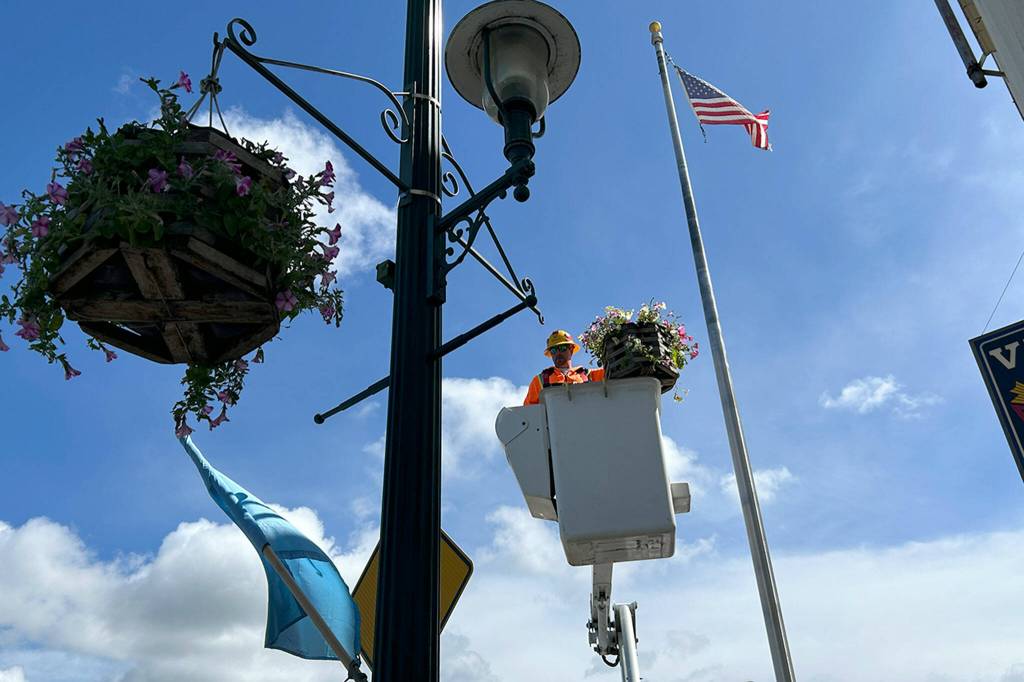 Sequim Gazette photo by Matthew Nash
Jake Vanderwaal, a maintenance worker with the City of Sequim, places a flower basket on May 22 near the Sequim VFW. In total, Sequim High Schoolers made 124 baskets to go across the city.