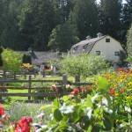 Photo courtesy of Concerts in the Barn
Enjoy chamber music and a picnic while enjoying the picaresque venue at this Quilcene farm at the Concerts at the Barn, held this year June 15-Aug. 4.