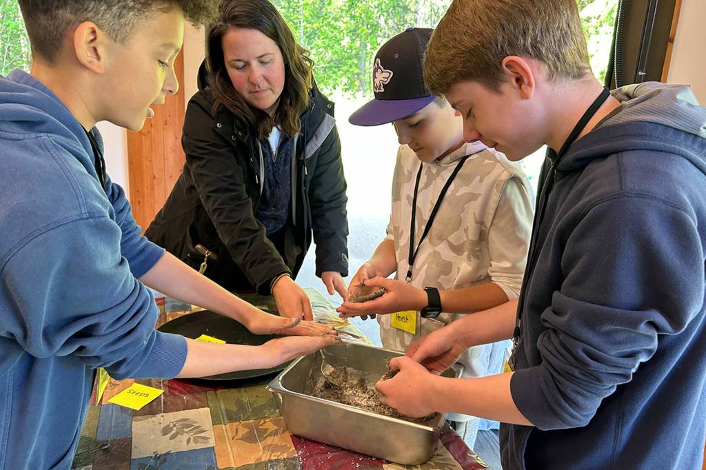 Sequim Gazette photo by Matthew Nash/ Anderson Williams, parent volunteer Kelsey Horst, Connor Horst, and Jack Ross work together to make wildflower seed ball bombs to place around the Dungeness River Nature Center during a field trip for Sequim Middle School sixth grade science classes.