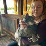 Sequim Gazette photos by Matthew Nash
Liv Carlson, a kennel technician at Kitty City, pets Anubis the cat during a tour of the facility. Olympic Peninsula Humane Society leaders recently reopened it to walk-in adoptions after being by appointment only and seeing an increase in pet surrenders.