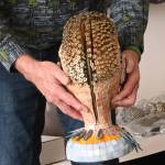 Sequim Gazette photo by Michael Dashiell / Christian Speidels Love Is Strange features dozens of screws and a zipper.