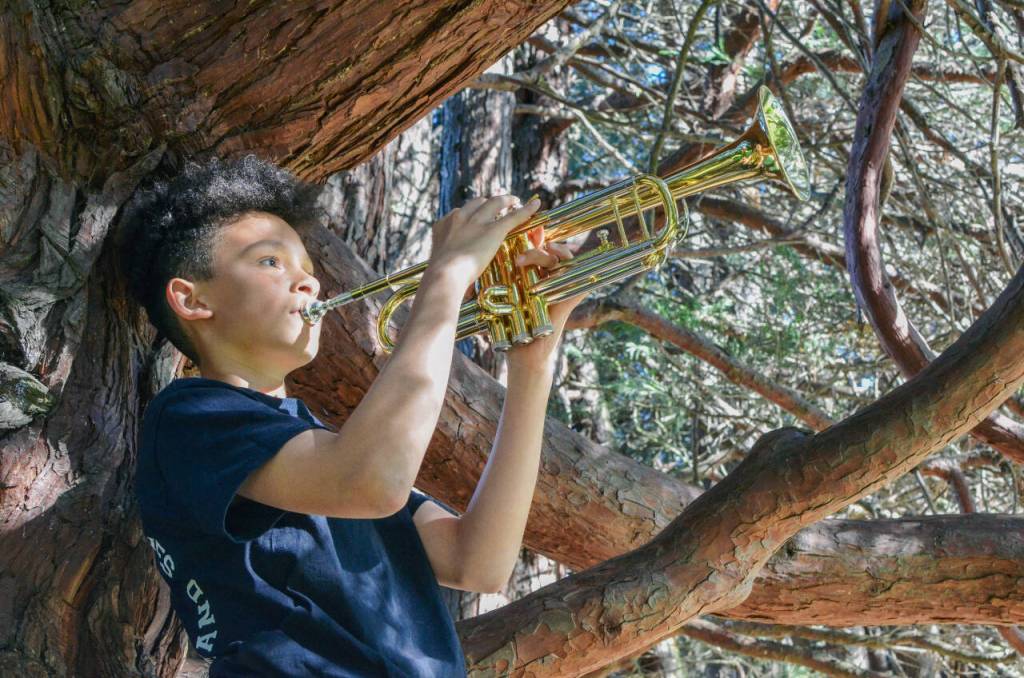 Sequim Gazette photo by Elijah Sussman / Writer Anderson Williams holds trumpet in tree before concert in bandshell at Carrie Blake Park on June 6.