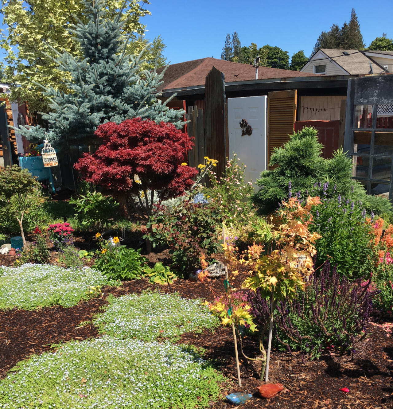 Photo by Karen Teig/Master Gardener / The 2024 Petals & Pathways Home Garden Tour features six Port Angeles home gardens.