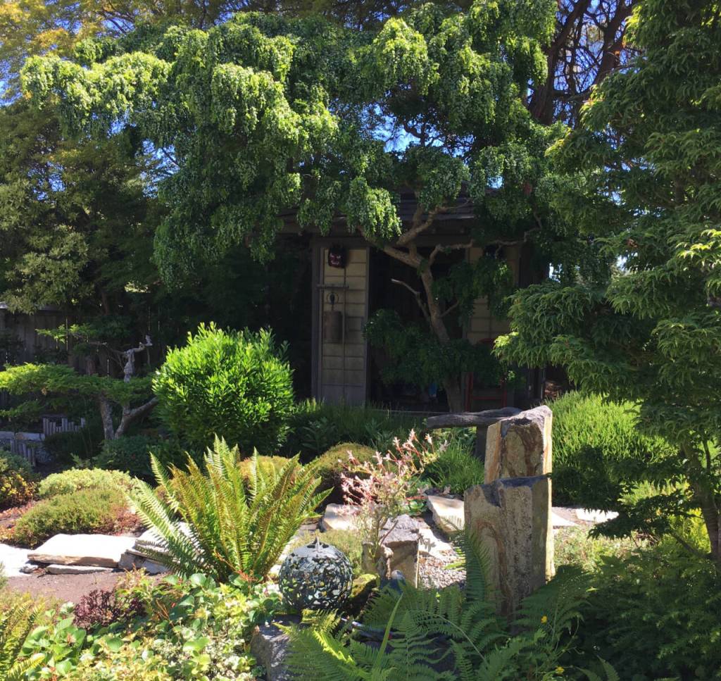 Photo by Karen Teig/Master Gardener / The 2024 Petals & Pathways Home Garden Tour features six Port Angeles home gardens.