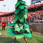 Photo courtesy Stanford University Athletics/ Herman the Stanford Tree made by Grayson Armour appears at a Stanford University football game a few years ago. Sequims Ruby Coulson was selected earlier this year to be the schools unofficial mascot through April 2025, and is making her own costume to wear at sporting events. Shell wear Herman in Paris for the Olympics to support Stanford athletes.
