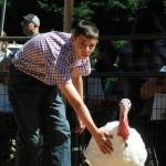Sequim Gazette file photo by Matthew Nash/ Nicholas Bell, 13, of Port Angeles shows his turkey, Seahawk, during the Clallam County Junior Livestock Auction in 2022. This years auction is set for Aug. 3.