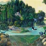 Artwork courtesy of Port Angeles Fine Arts Center
Canyon to Estuary  Return of the Elwha River by Larry Eifert, a featured piece at the Port Angeles Fine Arts Centers Beauty and Resilience - From Dismantling to Ecosystem Recovery exhibit.