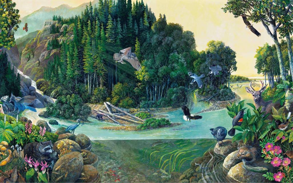 Artwork courtesy of Port Angeles Fine Arts Center
Canyon to Estuary  Return of the Elwha River by Larry Eifert, a featured piece at the Port Angeles Fine Arts Centers Beauty and Resilience - From Dismantling to Ecosystem Recovery exhibit.