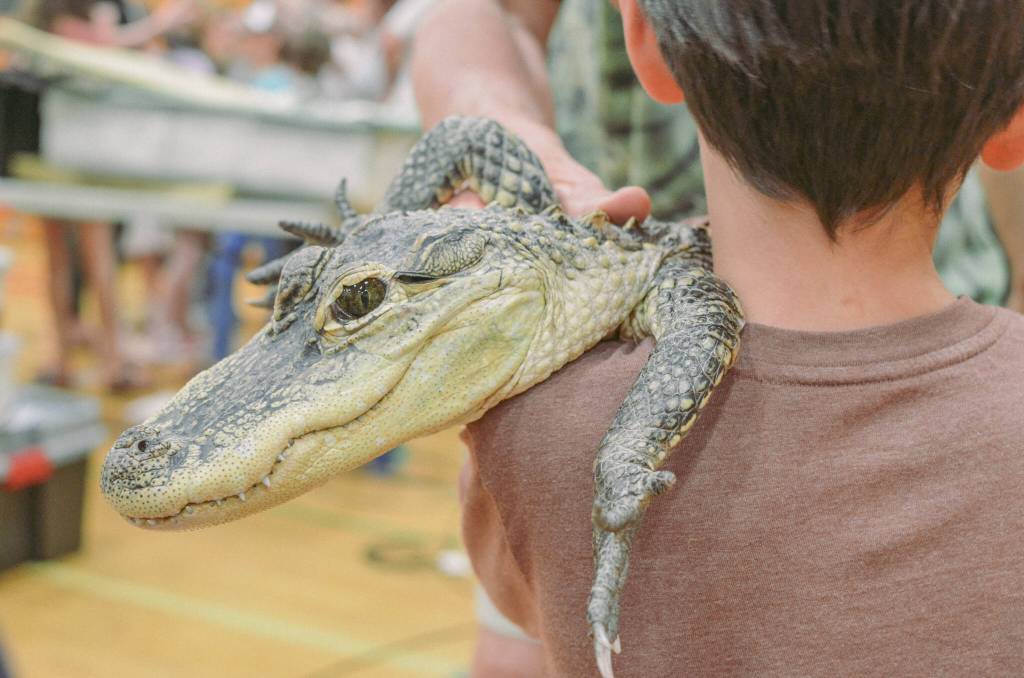 Sequim Gazette photo by Elijah Sussman / Lucy.