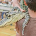 Sequim Gazette photo by Elijah Sussman / Lucy.