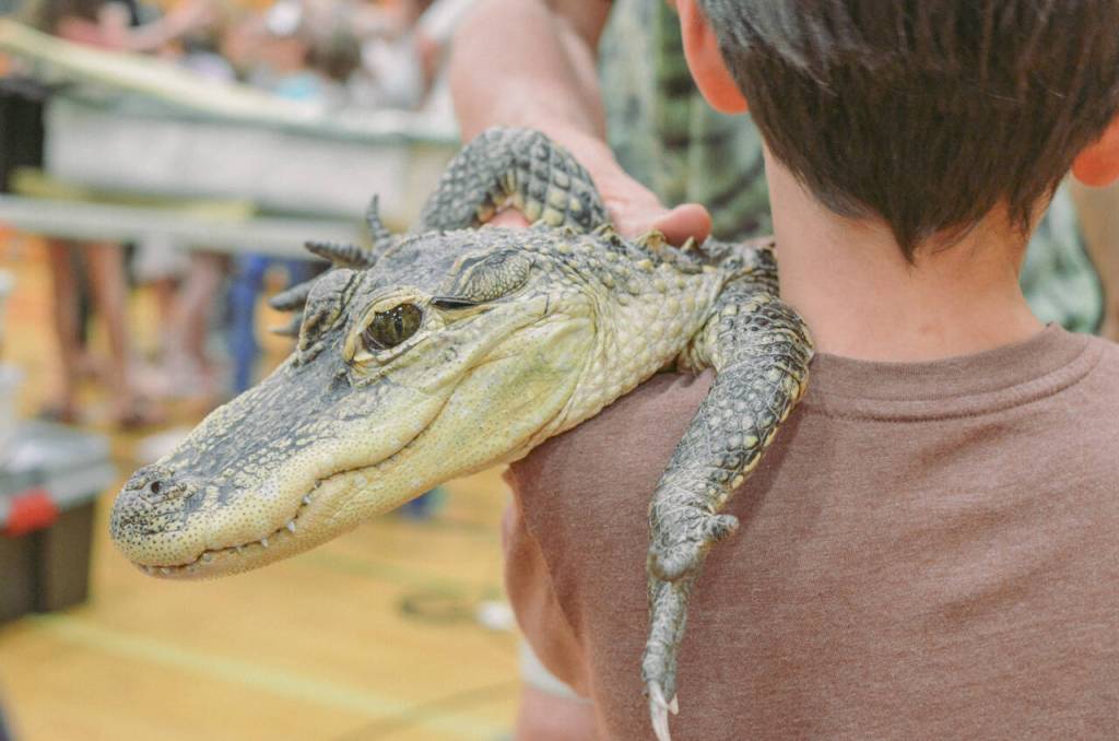 Sequim Gazette photo by Elijah Sussman / Lucy.