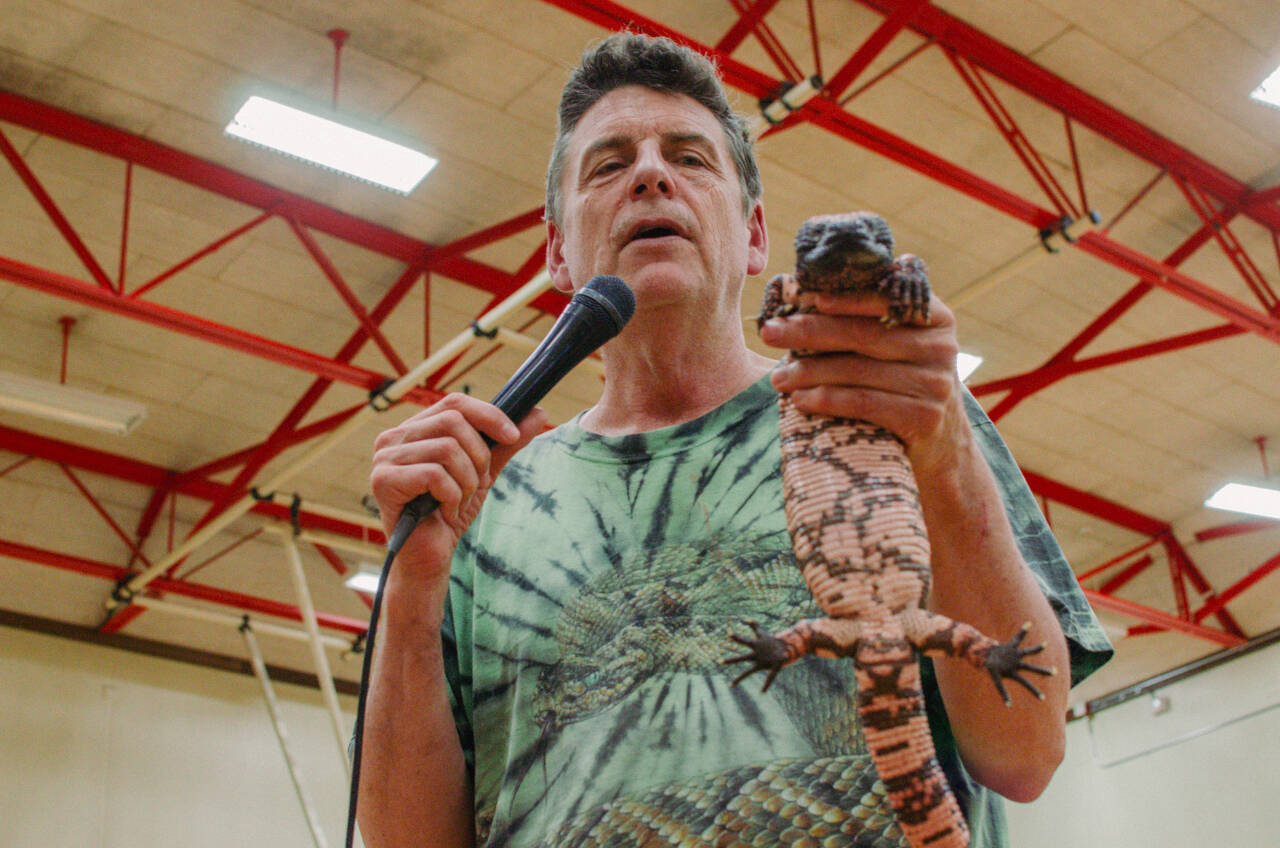 Sequim Gazette photo by Elijah Sussman / The Reptile Man Scott Peterson with venomous Gila Monster on June 25.
Peterson holds a Gila Monster for youngsters to see.